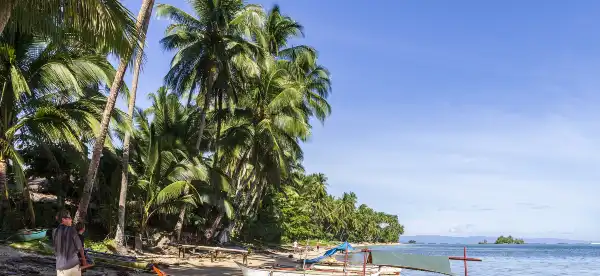 Davao