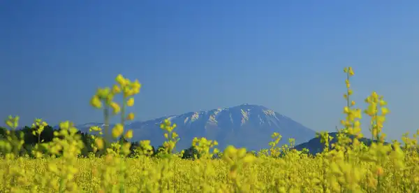 Hotels in Iwate Prefecture, Japan