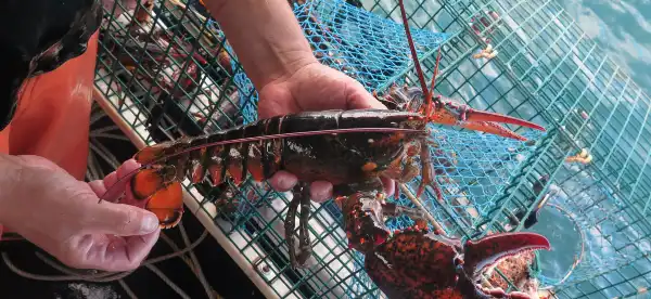 Hôtels avec bars à Maine, États-Unis