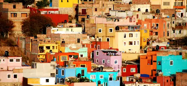 Pet friendly Hotels in Mexico