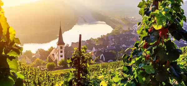 Ξενοδοχεία με Pools σε Rhineland-Palatinate, Germany