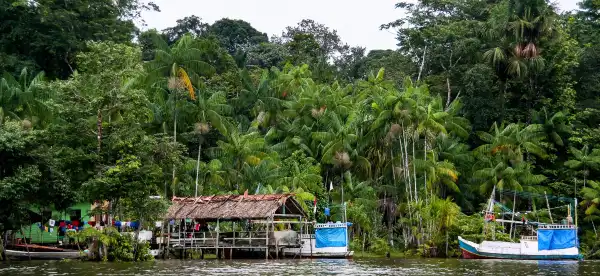 French Guiana Hotels With Pools