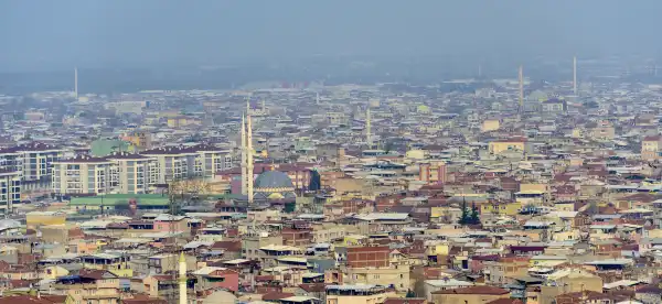 Bursa