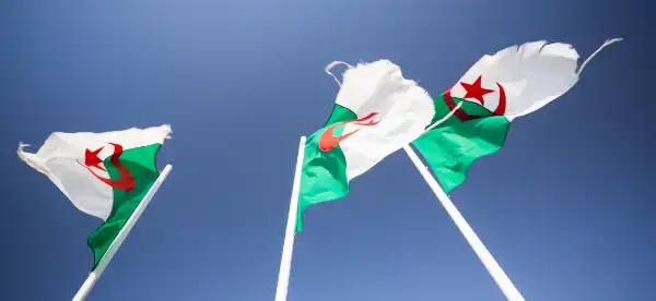 Hoteles de que admiten mascotas en Argelia