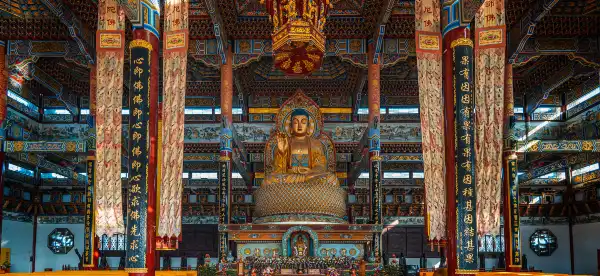Hotels in Runan