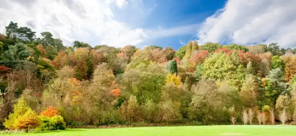 Hotels in Godalming