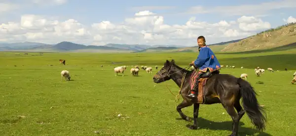 Homestays di Mongolia
