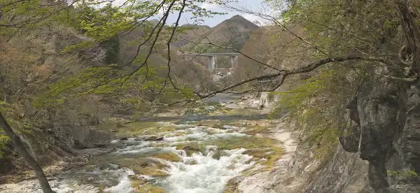 فنادق في میناکامی