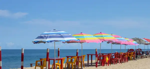 Pet friendly Hotels in Nayarit, Mexico
