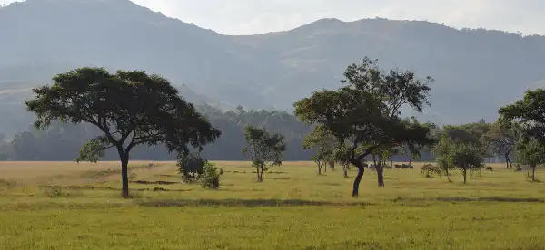 Eswatini Hotels With Spa