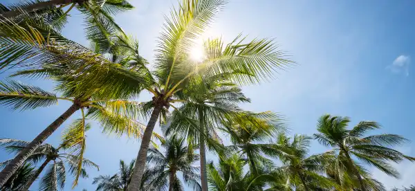 Pet friendly hotels in Kedah, Malaysia