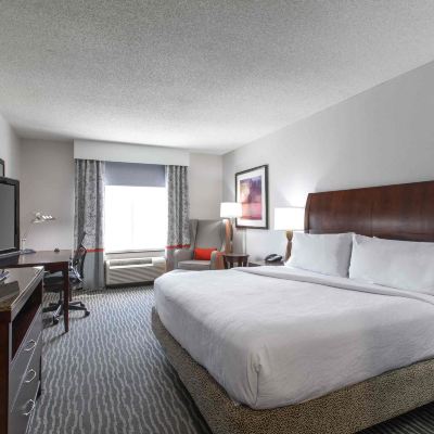 King Accesible with Bathtub Hilton Garden Inn Lynchburg Promo Code