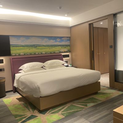 商務套房（除菌智能馬桶+智能客控） 獨山子西戈瑪國際飯店優惠