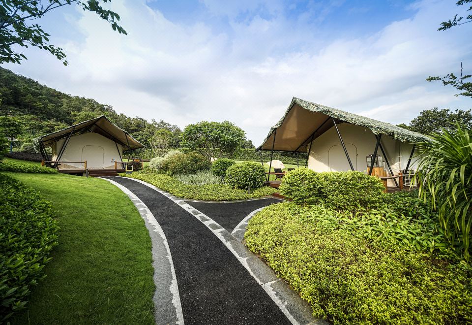 星夜帐篷区·星云帐篷房