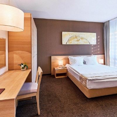 Standard Plus One-Bedroom Apartment
