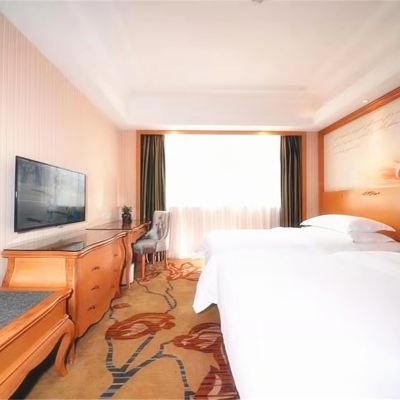 商務雙床房 維也納飯店（深圳南新路店）優惠