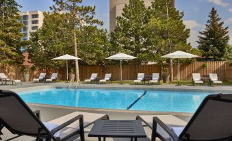 a swimming pool surrounded by chairs and umbrellas , with trees in the background , creating a serene atmosphere at Sheraton Parkway Toronto North Hotel & Suites
