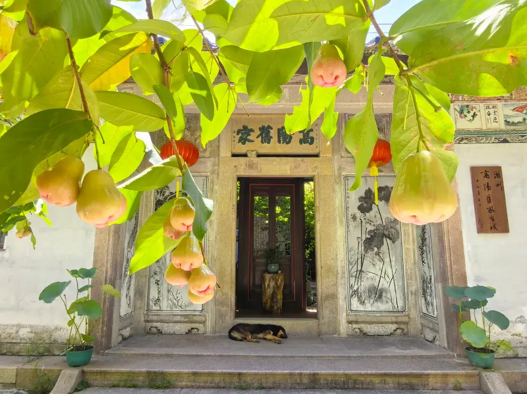 Chaozhou Gaoyang Jiujia Inn - Chaozhou