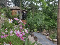 Pure &  Nature  Inn