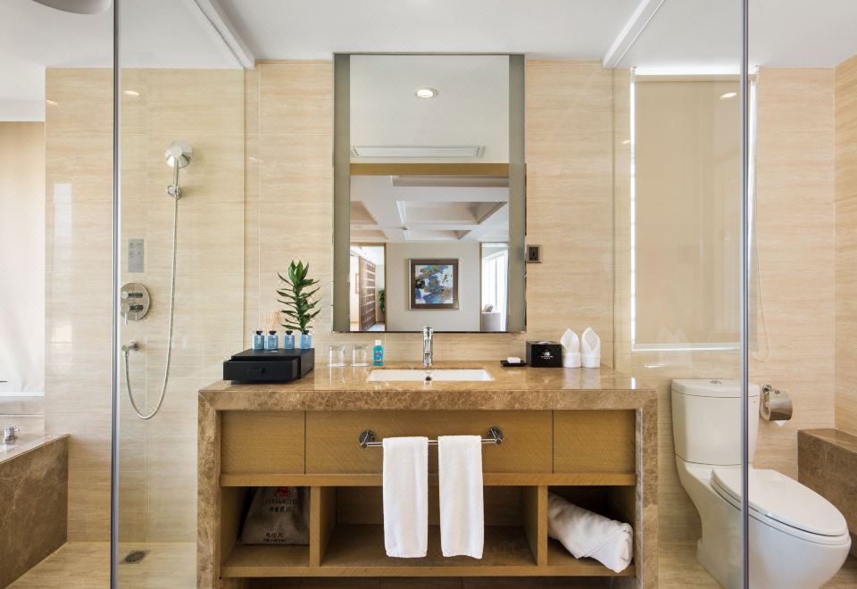 豪華商務套房（一房一廳）