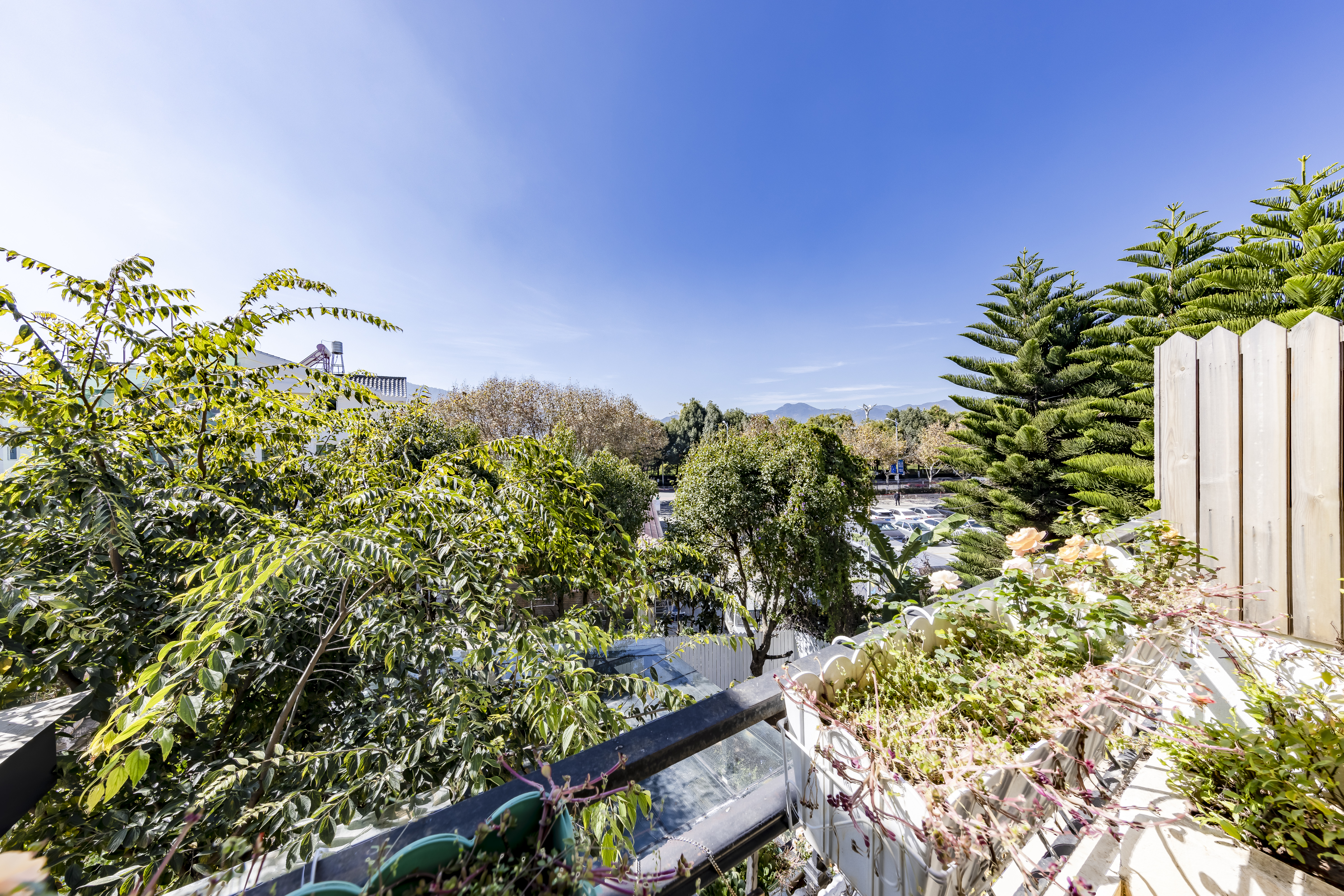 梦境·星空大床房（花园露台丨梵高星空顶）