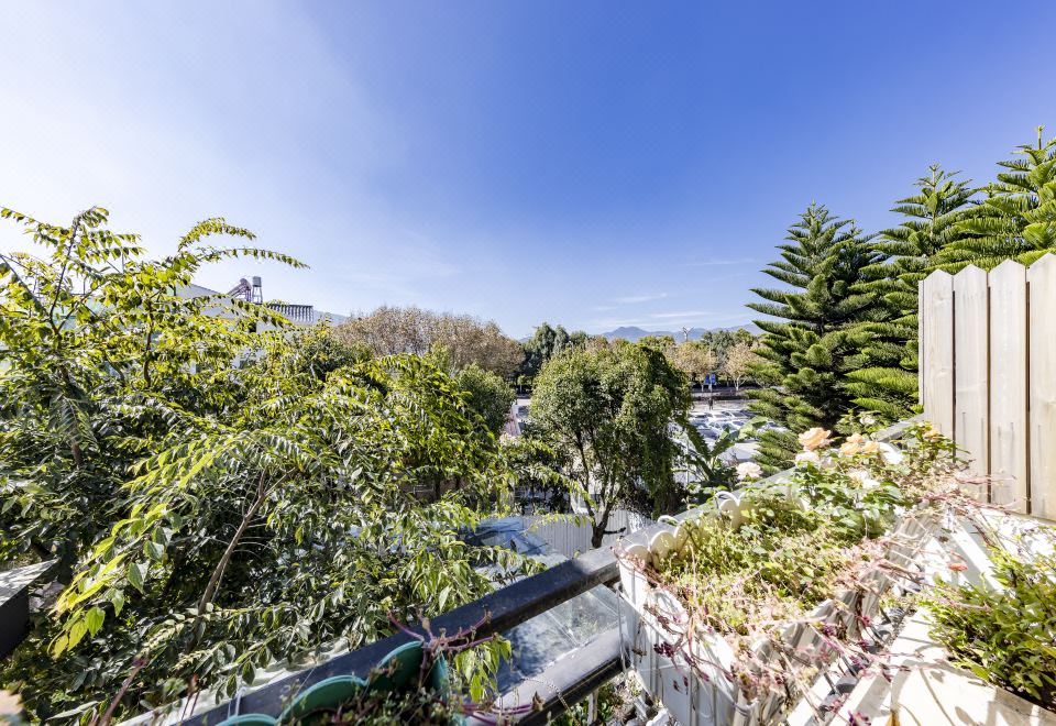 夢境·星空大床房（花園露臺丨梵高星空頂）