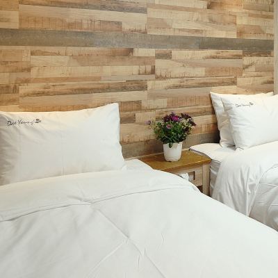 無窗地下室經濟雙床房 德陽首爾飯店優惠