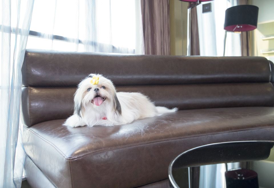 宠物乐享双床房