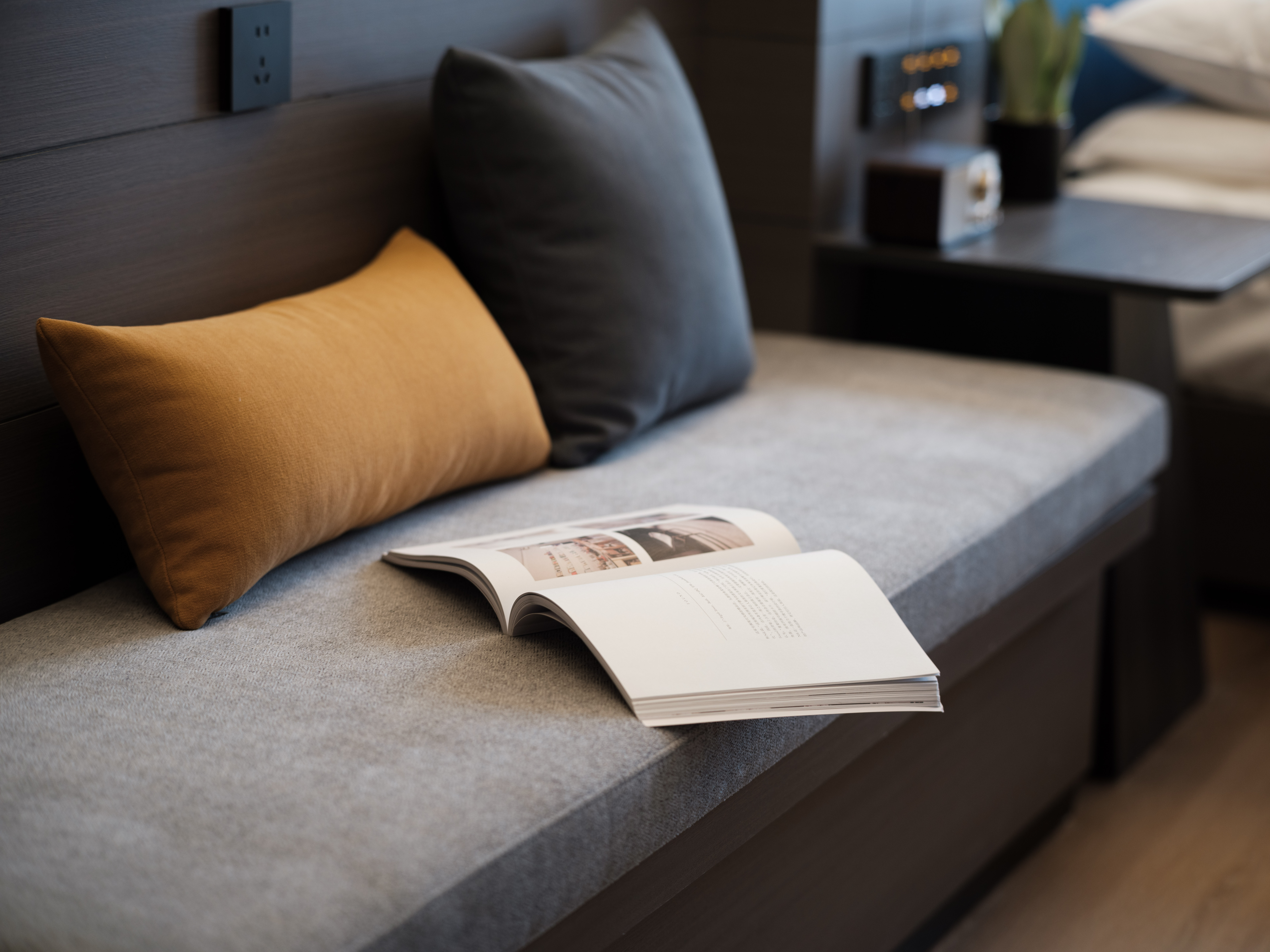 礼白望城阁（高清投屏电视+小冰箱+小型盆景+乳胶枕）