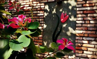 Pink Tulip Hoi An