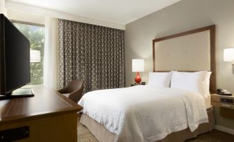 Hampton Inn Atlanta-Buckhead