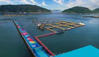 Nanji Island Yuepanwan Beach Homestay
