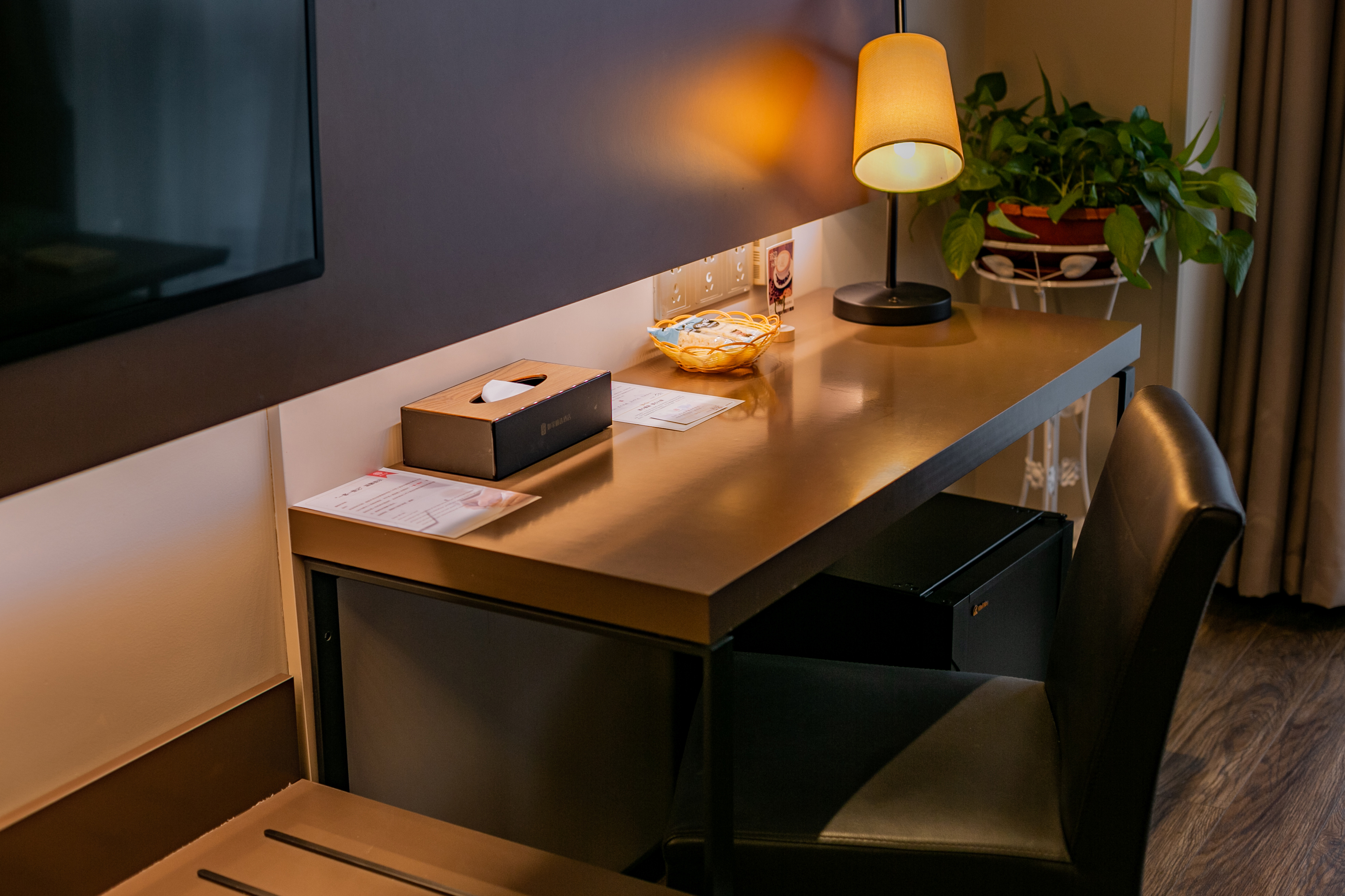 特色双床房（记忆枕+徕芬吹风机+小冰箱）