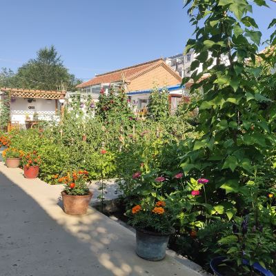 家庭房 多倫吉嘉賓館優惠