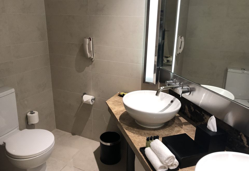 无障碍城景经典特大床房