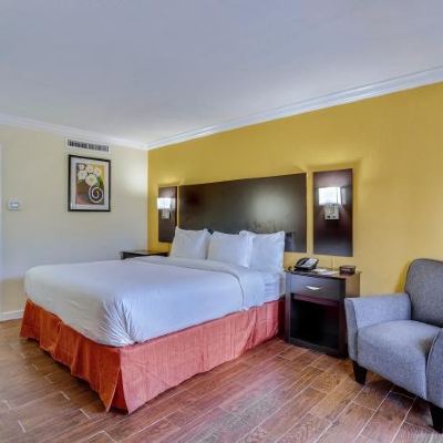 King Room The Link Hotel On Sunrise Promo Code