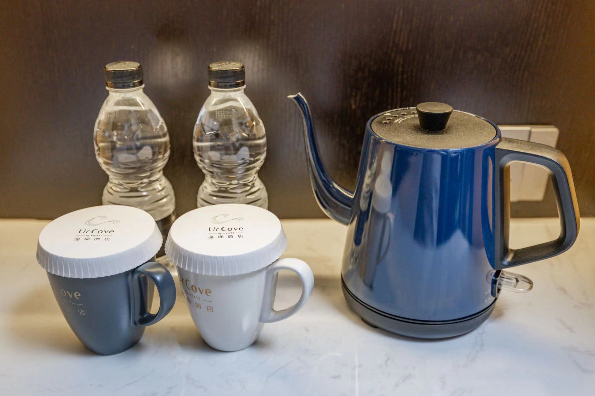 高级双床房（智能投屏+私享Coffee机+冰箱）