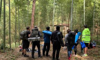 A group of people standing in a forest, looking at something on top, pose for a photo at Little Forest Guesthouse