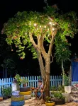 Wanning Shenzhou 517 Homestay (Shenzhou Peninsula Resort Area Huandao Tourism Highway)