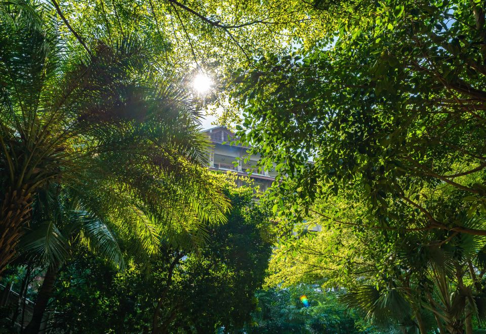 豪華花園雙床房丨蒼翠錯落·亭廊掩映