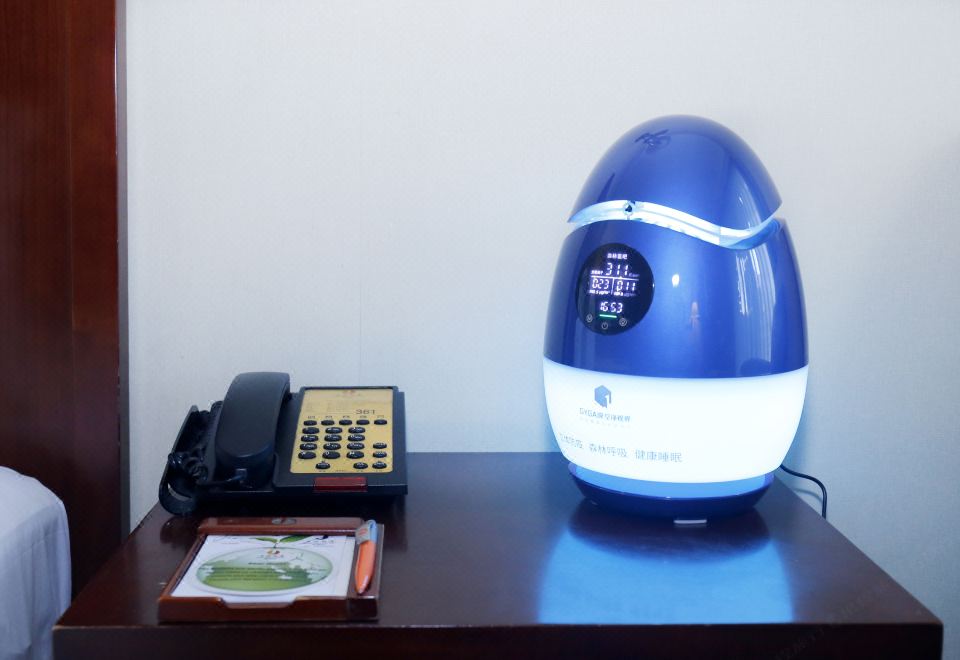 森林氧吧大床房