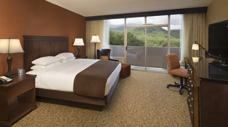 The Park Vista - a DoubleTree by Hilton Hotel - Gatlinburg Room
