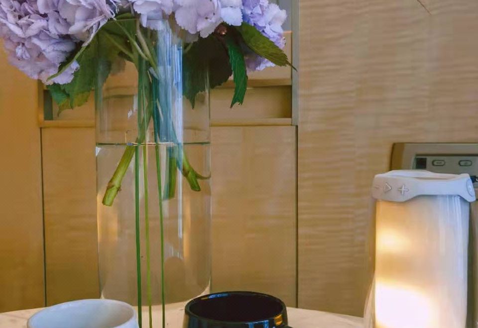 至尊高空城景行政精英房