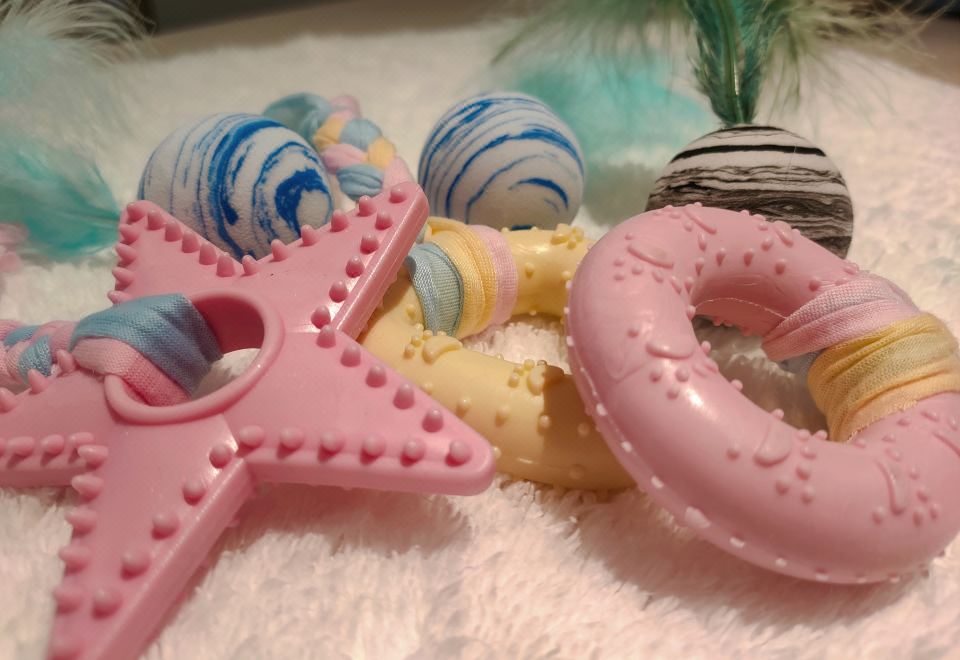 柏薇雙臥汪星社