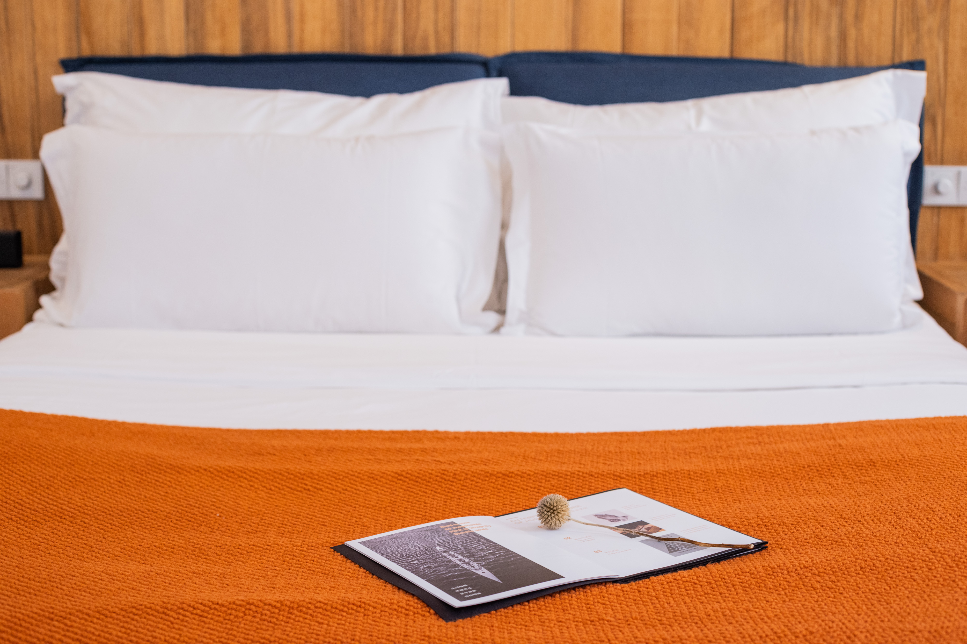 晴光满室?Plush零压大床房【min冰箱+乾湿分离】