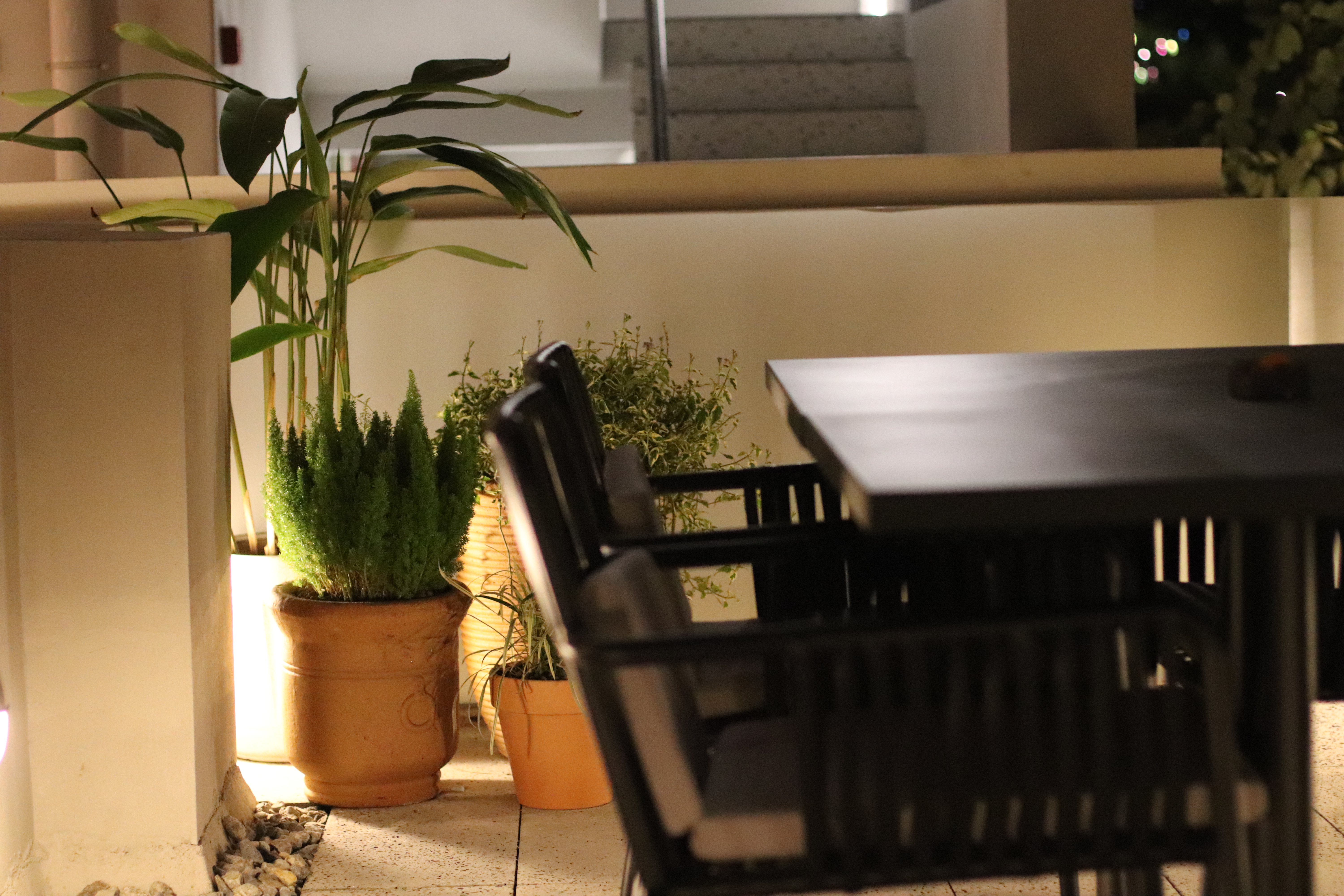 露台花园双床房（手机控制开门+智能音响+单门冰箱+智能马桶）