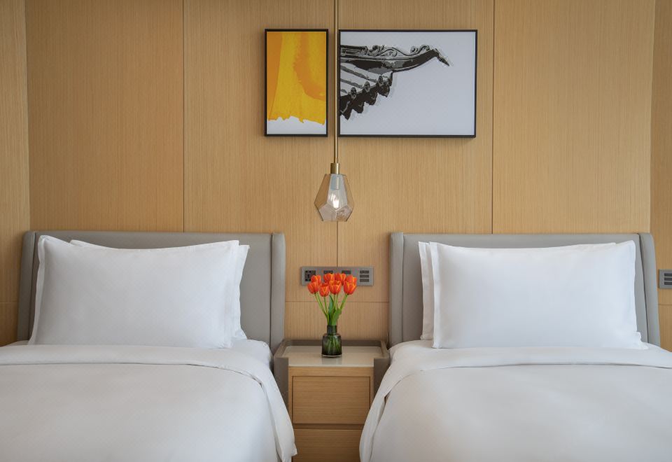 阳光双床房高楼层-云端畅享，尽享风光