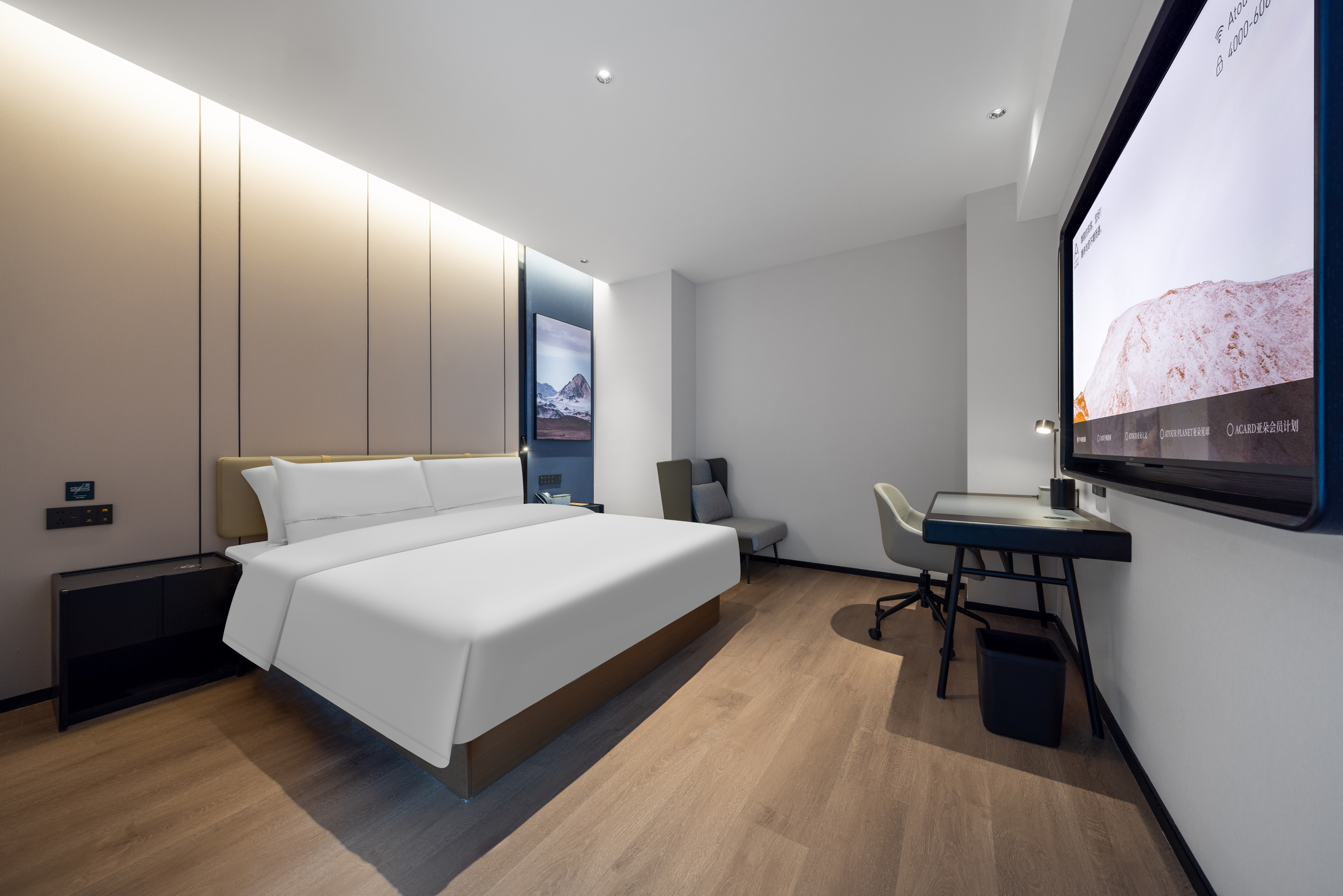 高级大床房（电视投屏+语音客控）