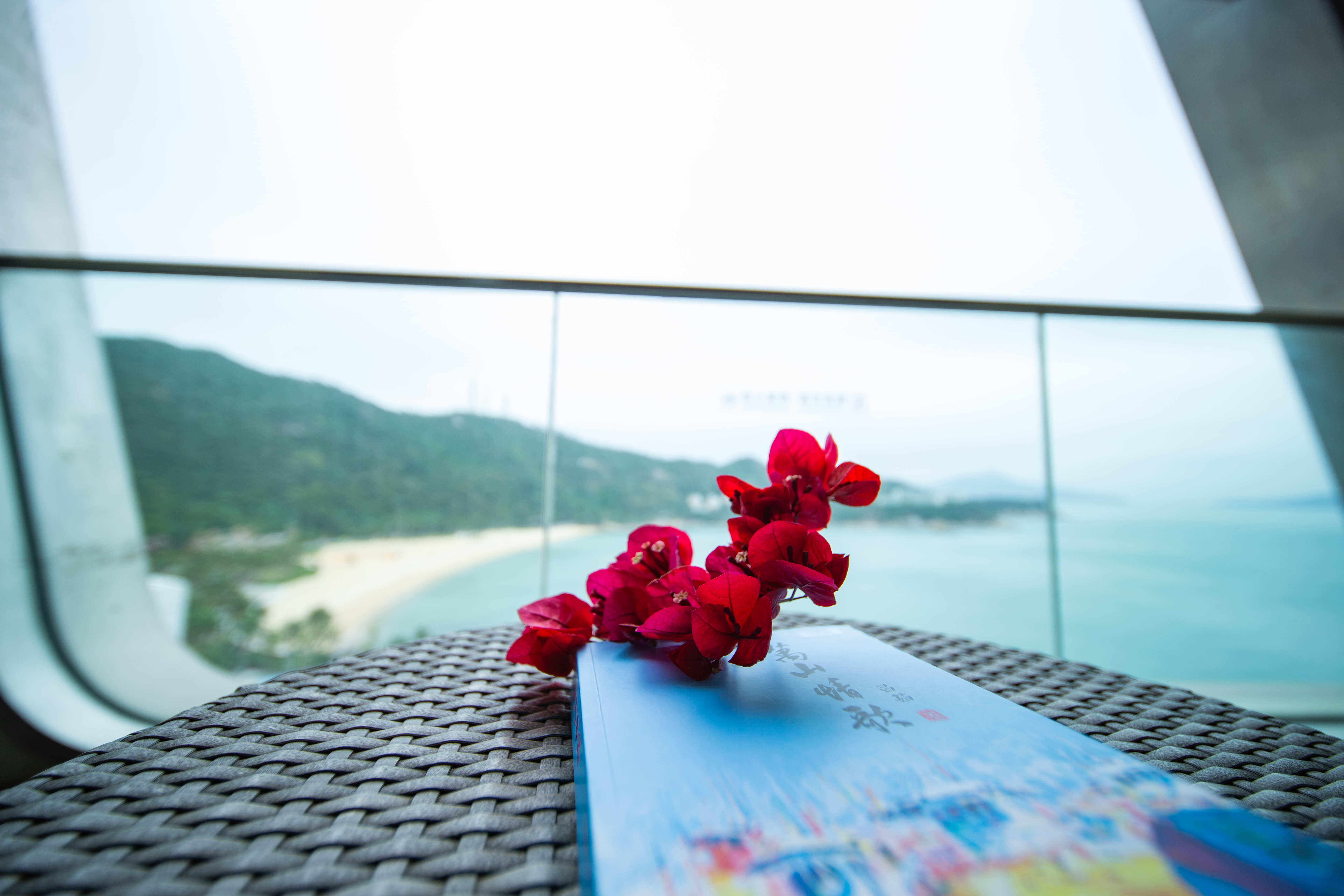 精选海景大床房