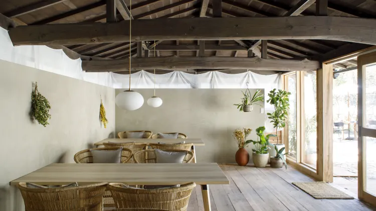 サユリワールド ザ・バンブーフォレスト 食事・レストラン